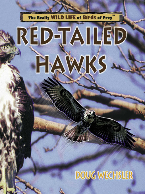 Title details for Red- Tailed Hawks by Doug Wechsler - Available